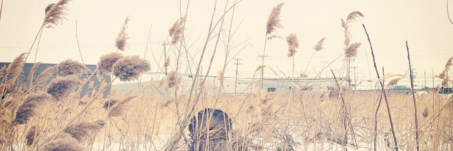 sinlentesrojos's profile banner image