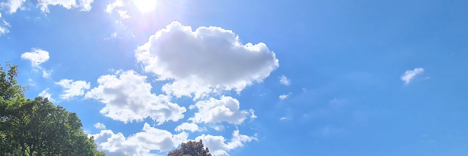 erm_whynot's profile banner image