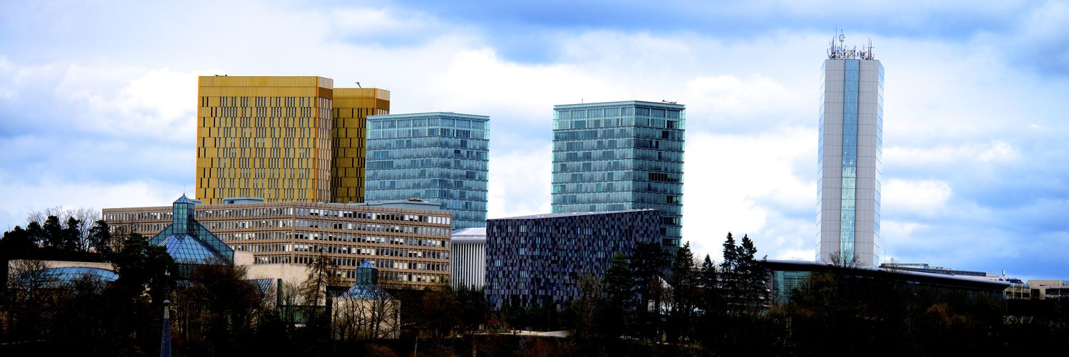 FERNEundBACH's profile banner image