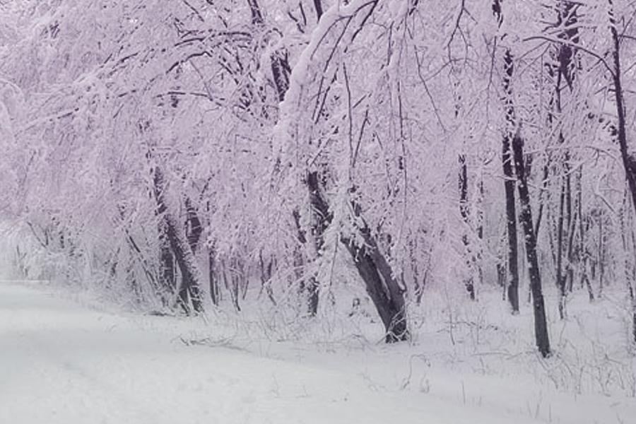 islypri's profile banner image