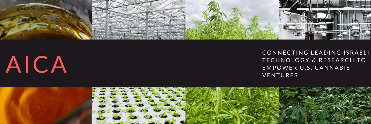 AIcannabis's profile banner image