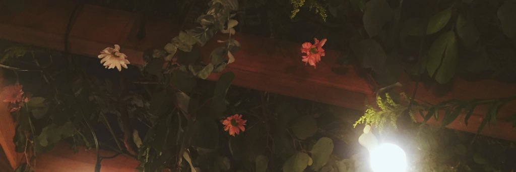 ajusimionato's profile banner image