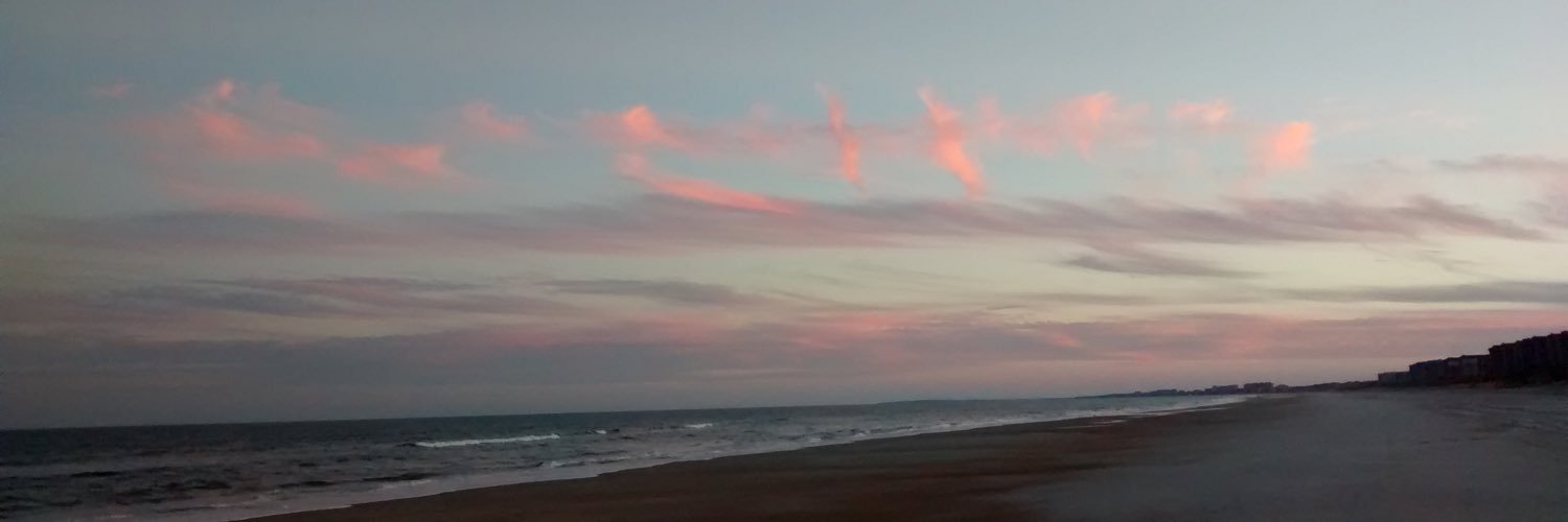 AprilLynneM5's profile banner image