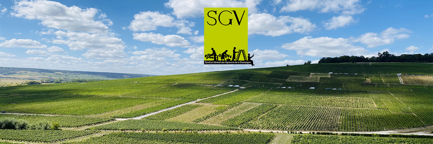 SGVChampagne's profile banner image