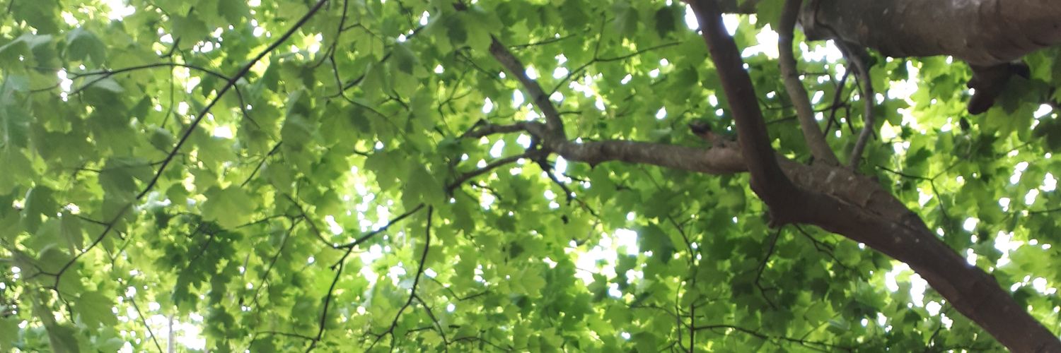 Summer 🇵🇸 🇱🇧💛 #JUSTICE4PALESTINE 💚 banner