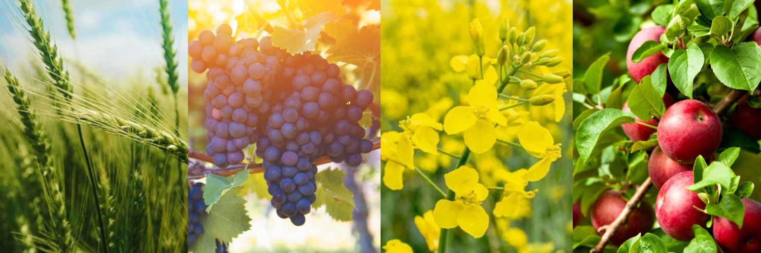 UPL Corp France banner