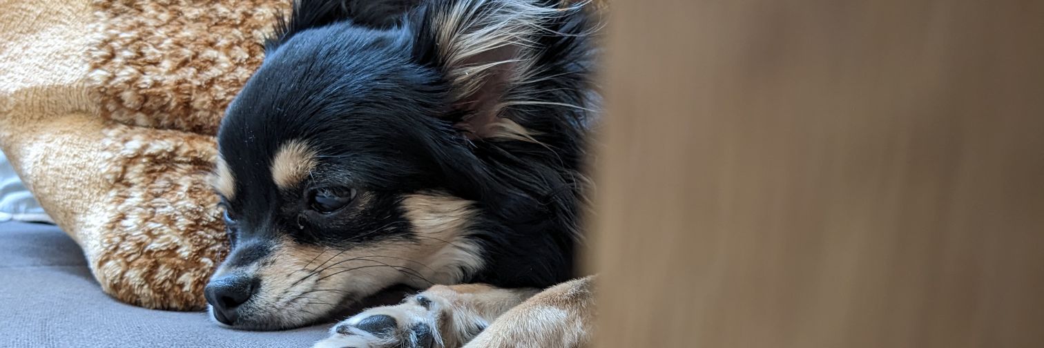 viper_finger_'s profile banner image