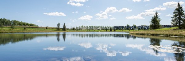 CollectionsYEG Profile Banner