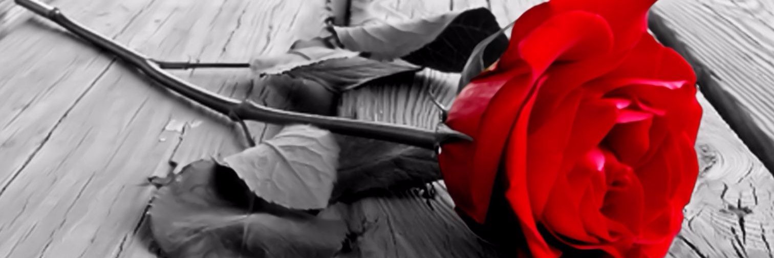 leeshacake's profile banner image