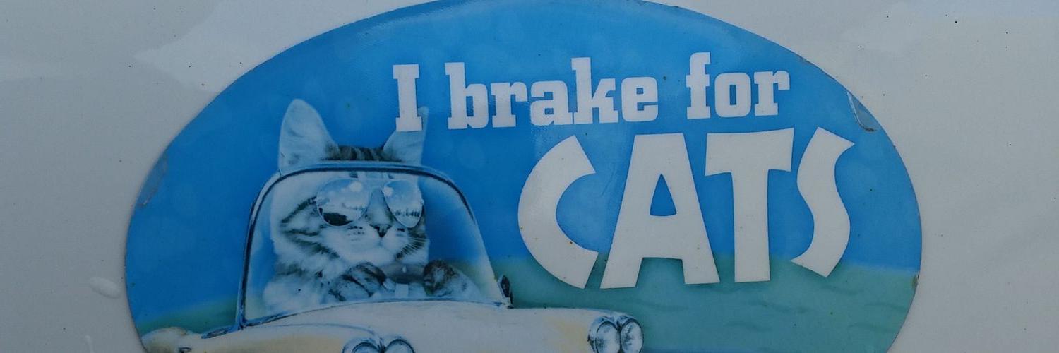 PhizzlePhresh's profile banner image