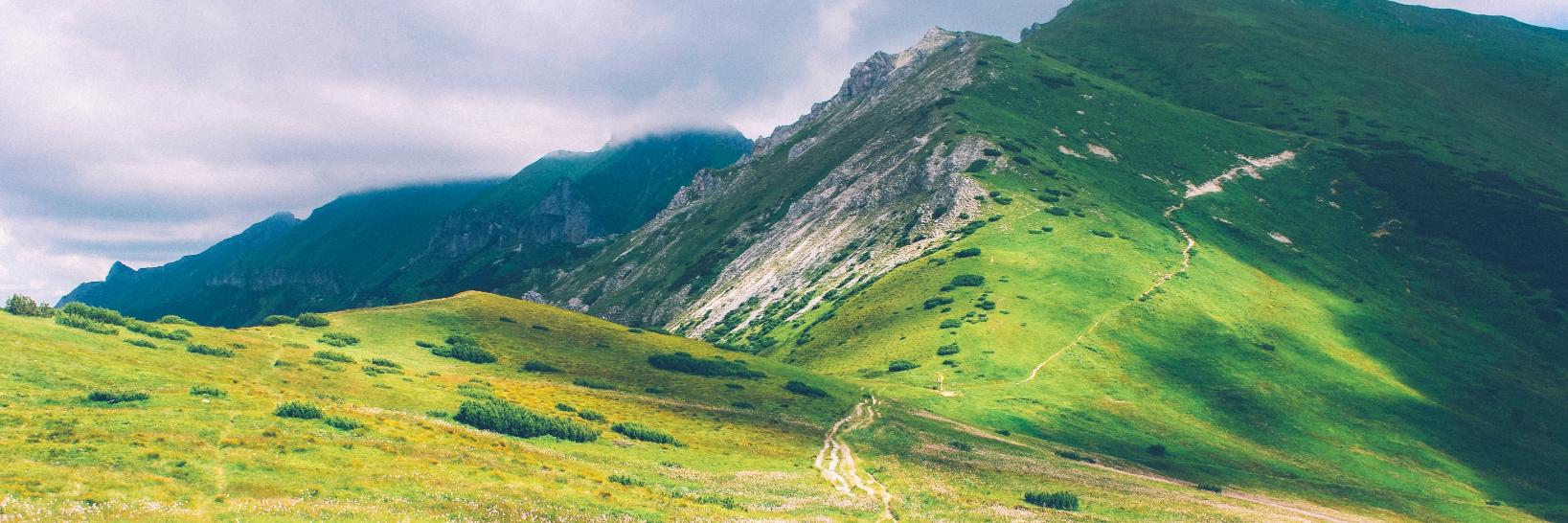 Trail Runner's banner