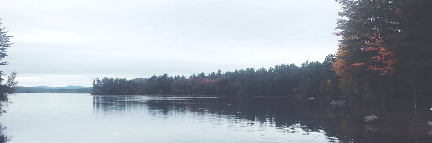 BridgetTurcotte's profile banner image