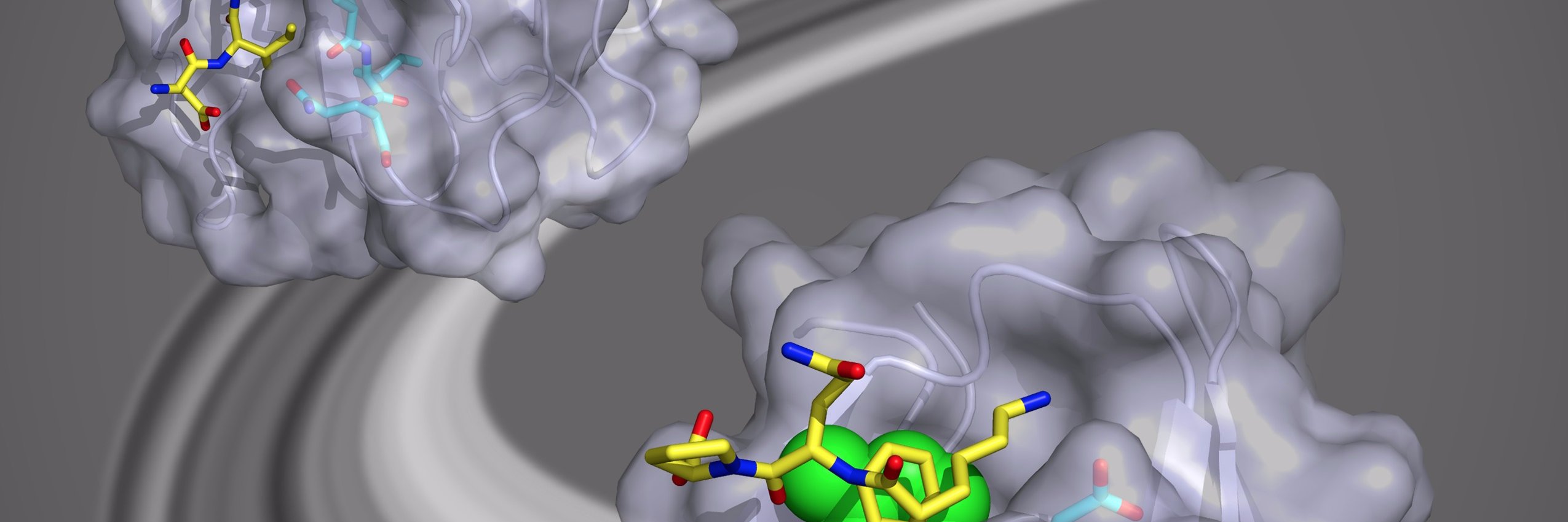 Lillian Chong banner