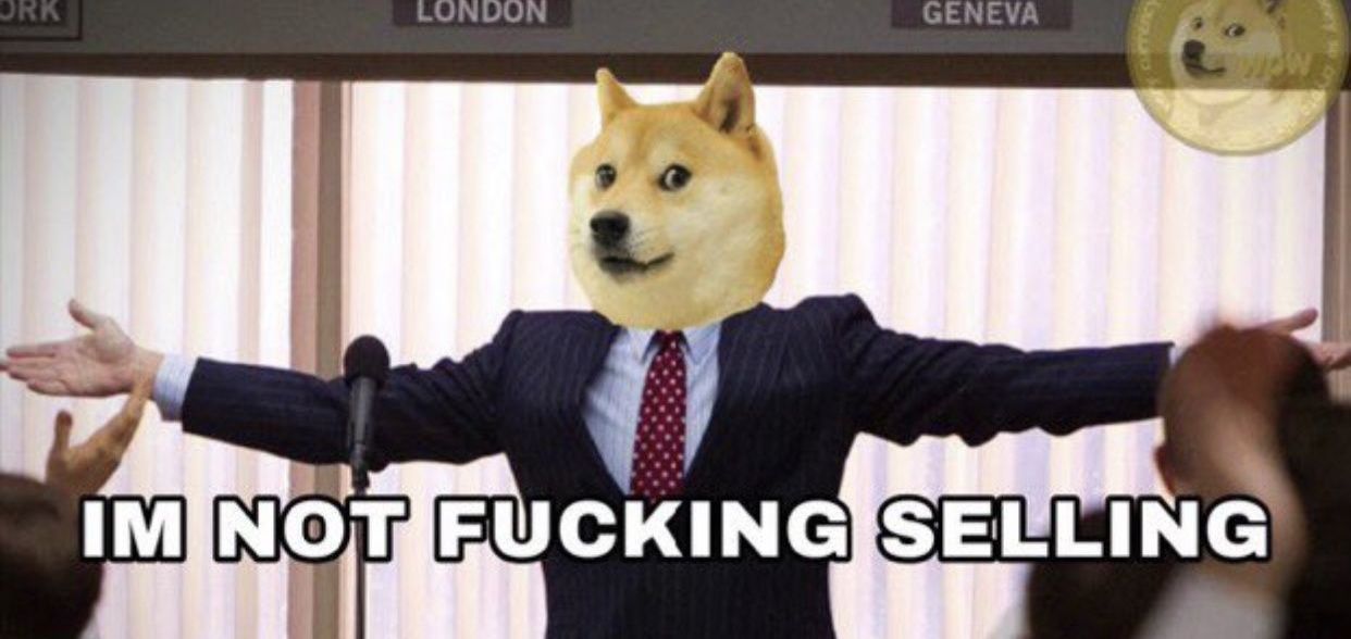 100DOLLARDOGE's profile banner image
