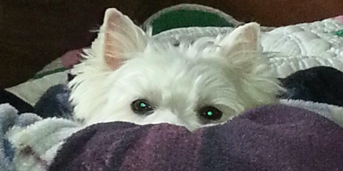 cdgrav66's profile banner image