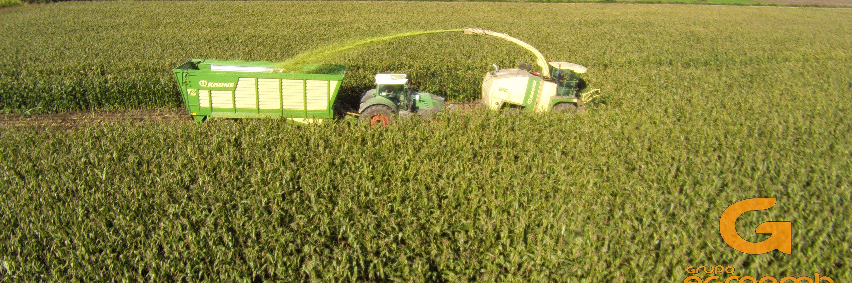 GRUPO AGROAMB banner