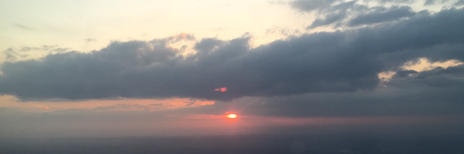 Epi_AmyB's profile banner image
