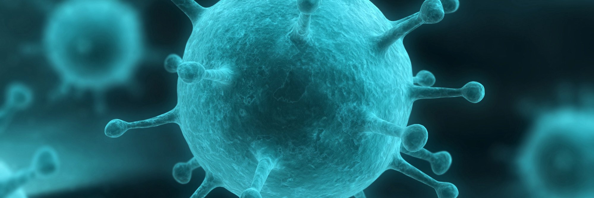 Paul Radspinner banner