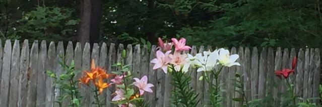 dsida_tm's profile banner image