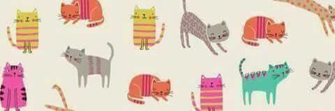 Patoscruz's profile banner image