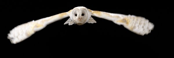 DanRansley Profile Banner