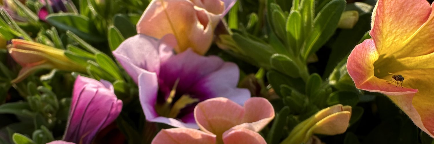 Vandrieu77's profile banner image