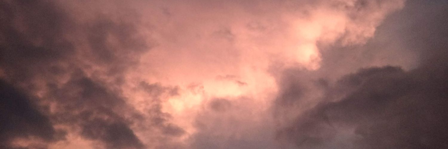 StarAniiise's profile banner image
