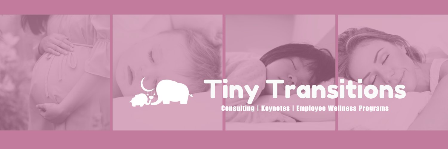 TinyTransitions's profile banner image