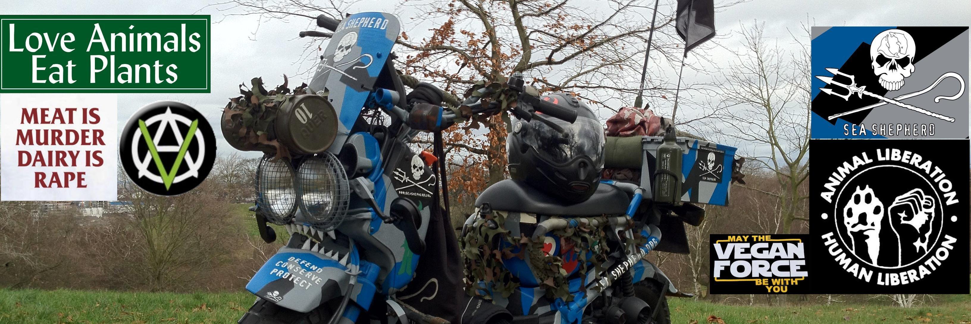 Richard Loughlin V banner