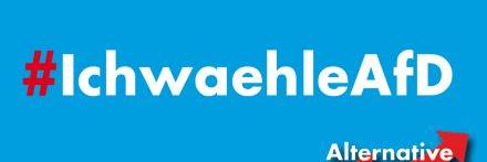 Berlin_AfD's profile banner image