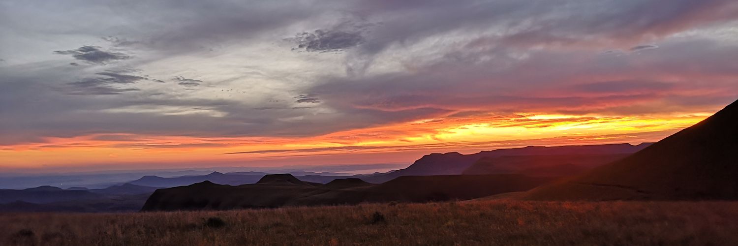 Tarryn Olivier banner