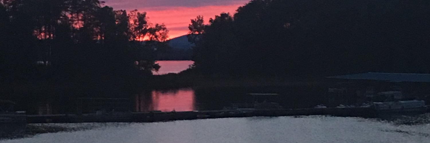 sharoncwhite81's profile banner image