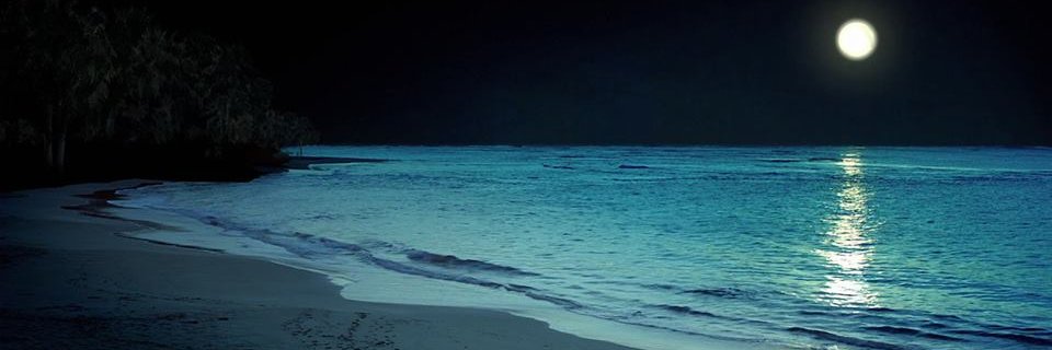 agarsousa's profile banner image