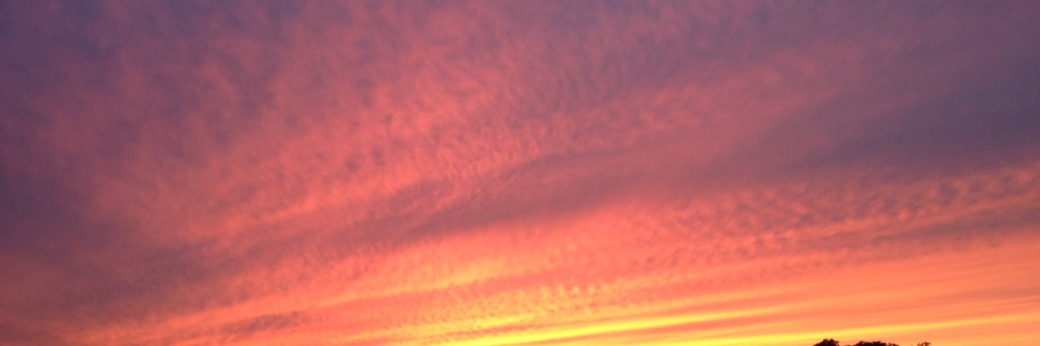 piletester's profile banner image