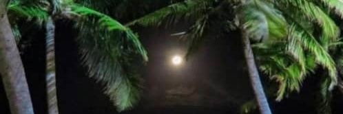 esther_colm's profile banner image