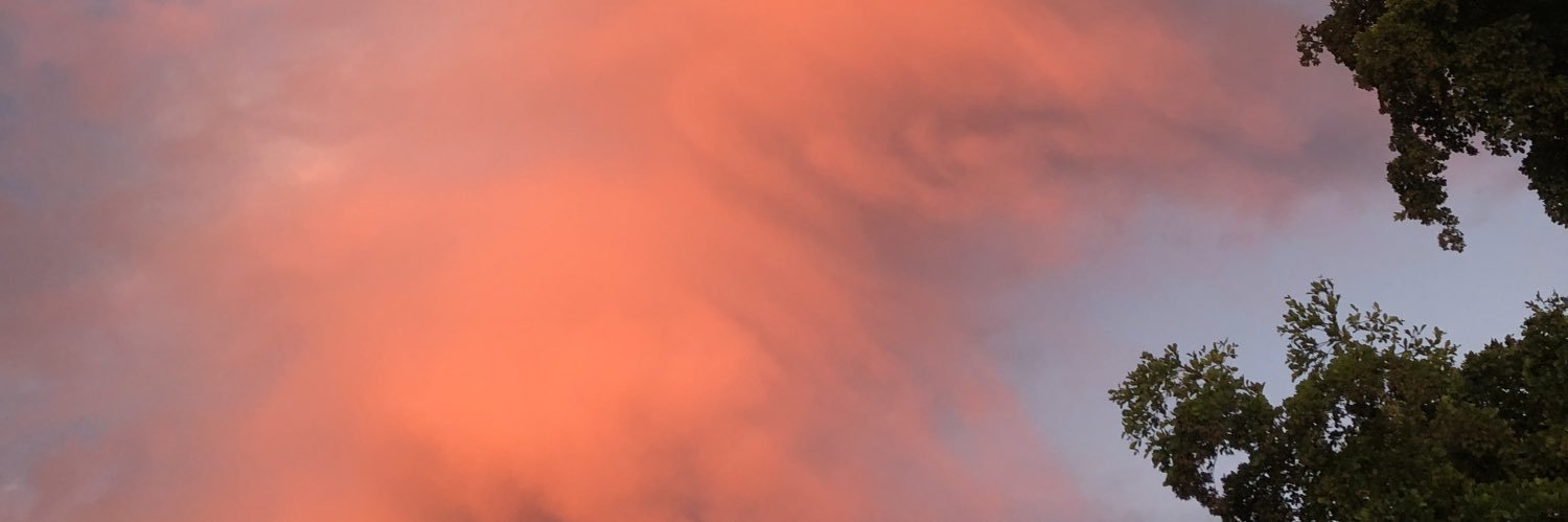 lachevee's profile banner image