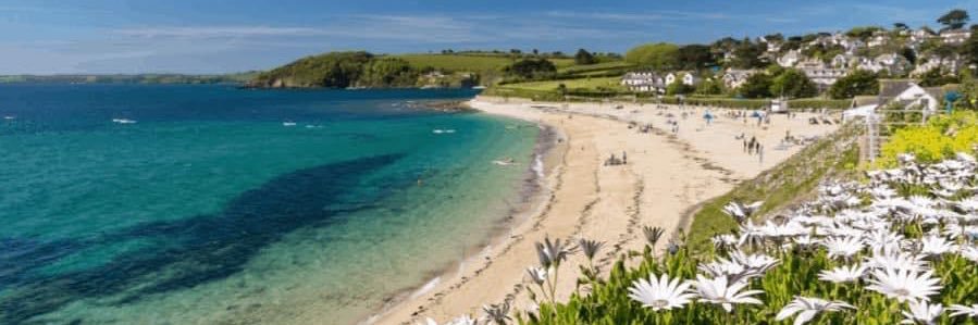 Veronica Foote 🇪🇺🇬🇧🇮🇪 banner