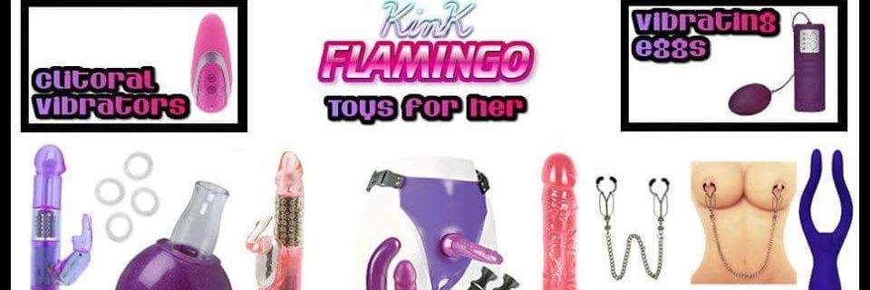 KinkFlamingo's profile banner image