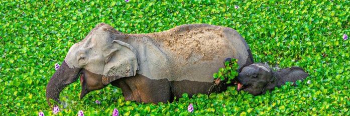 Catrasca69_'s profile banner image
