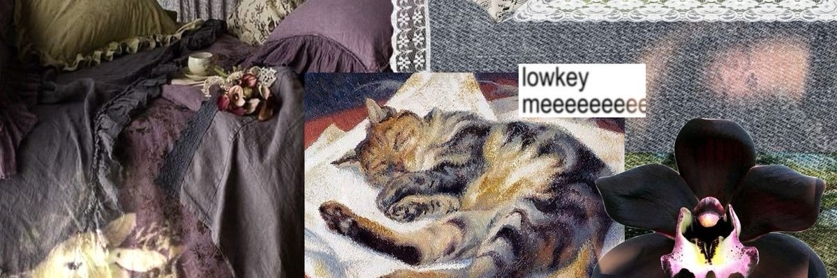 elovesdiary's profile banner image