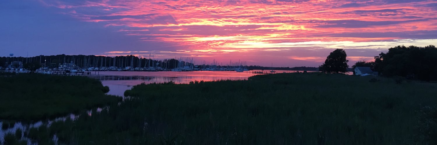 Michael Padula banner