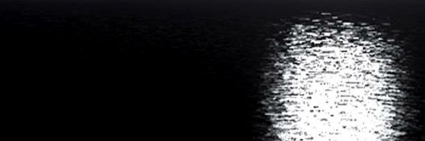 claudio silva lima banner