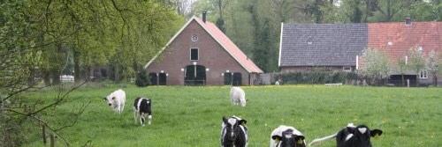 GeurtsHengelo's profile banner image