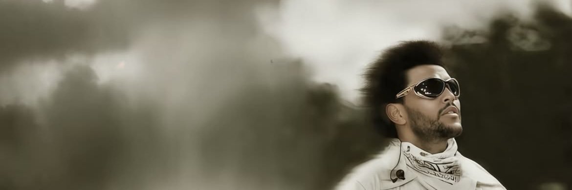 eva_tww's profile banner image