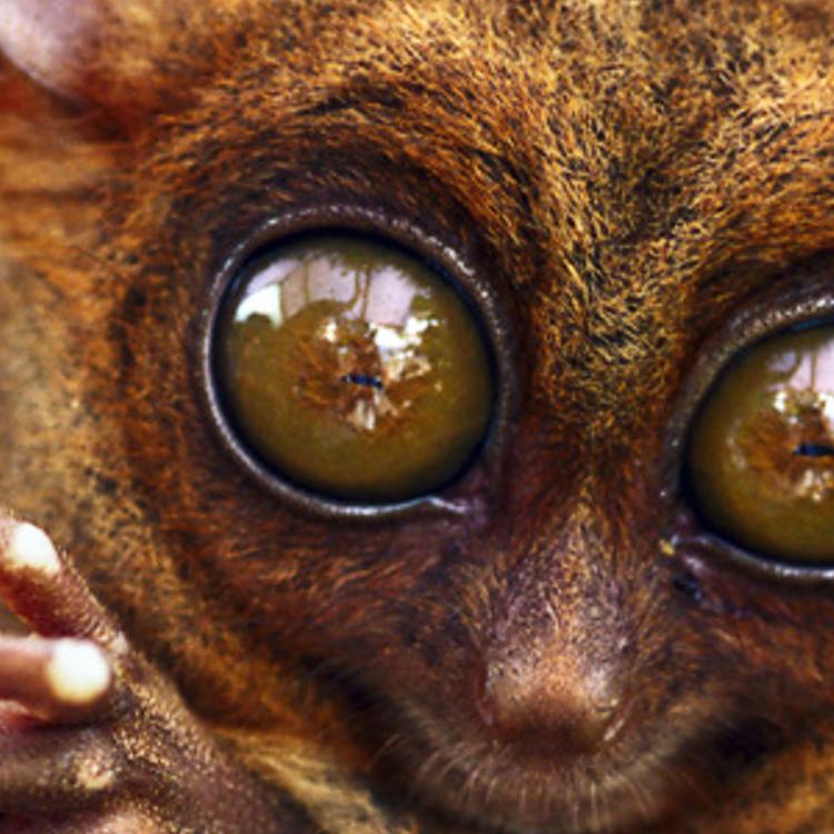 rialemin's profile banner image