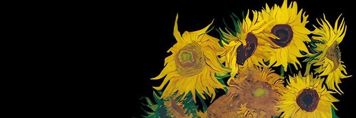 iromiikk's profile banner image