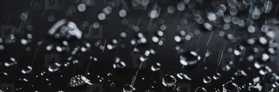 msmithm89's profile banner image