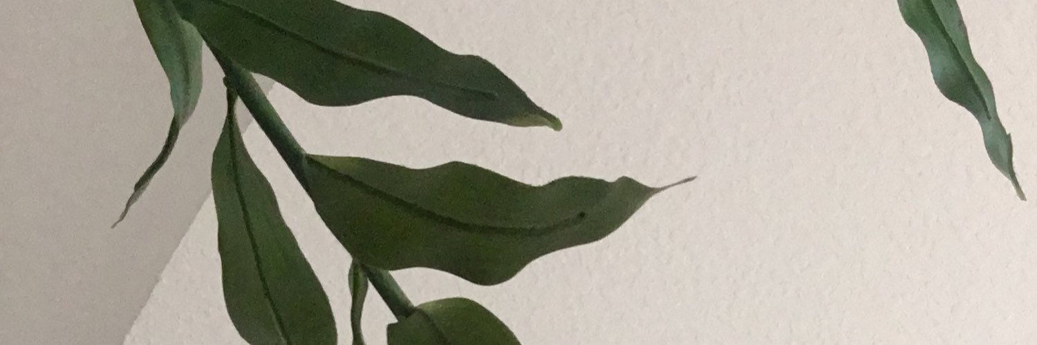 ally_bowes's profile banner image