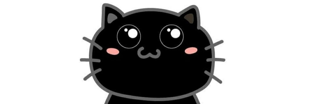 clementinaosaa's profile banner image