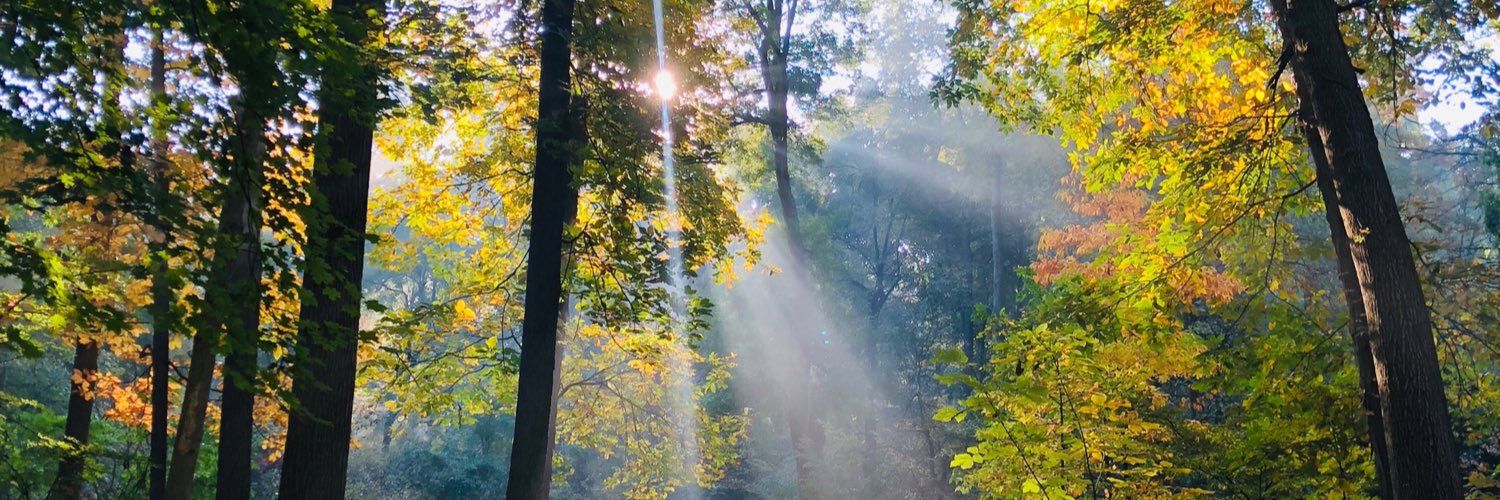 Milan Khealani, MD, FACP banner